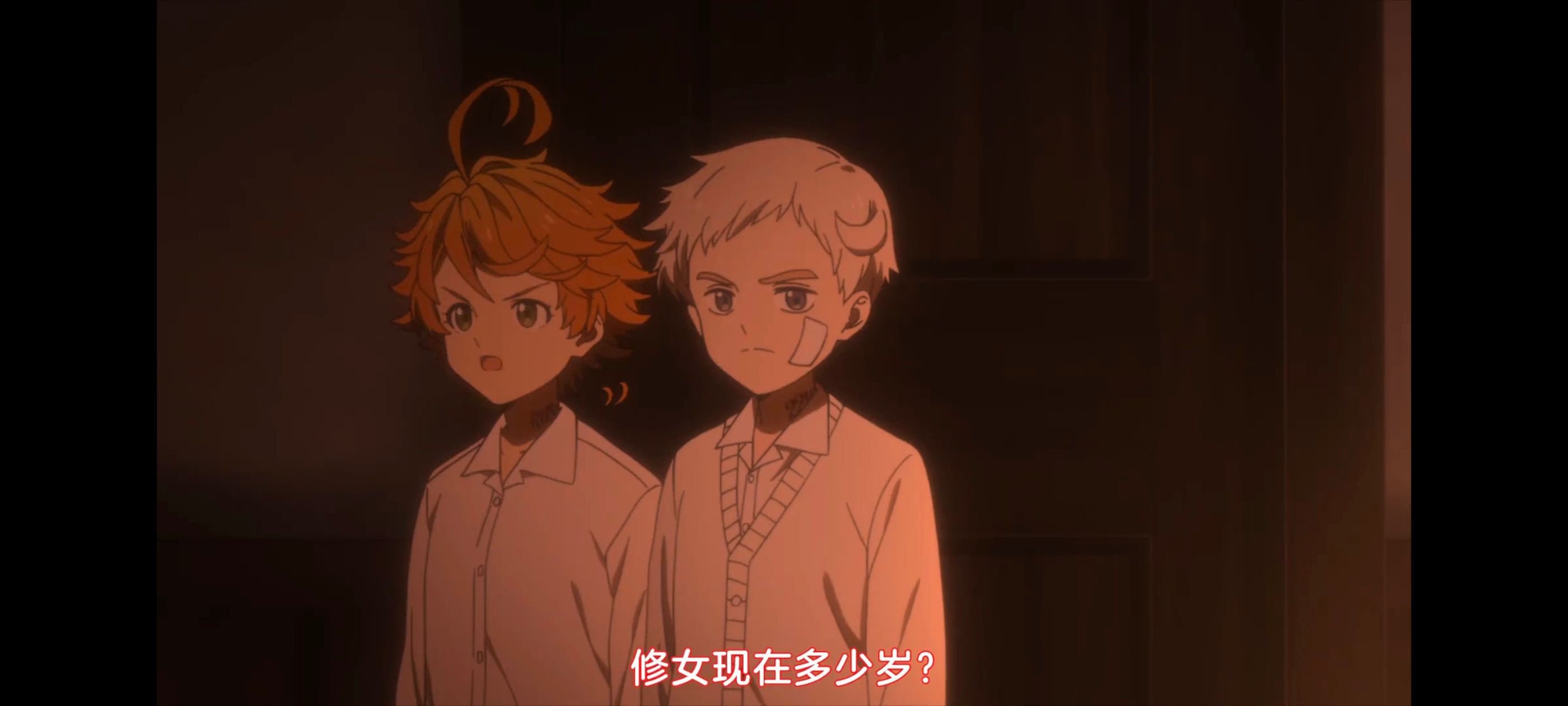 约定的梦幻岛,动画,动漫,番剧,二次元,ACG