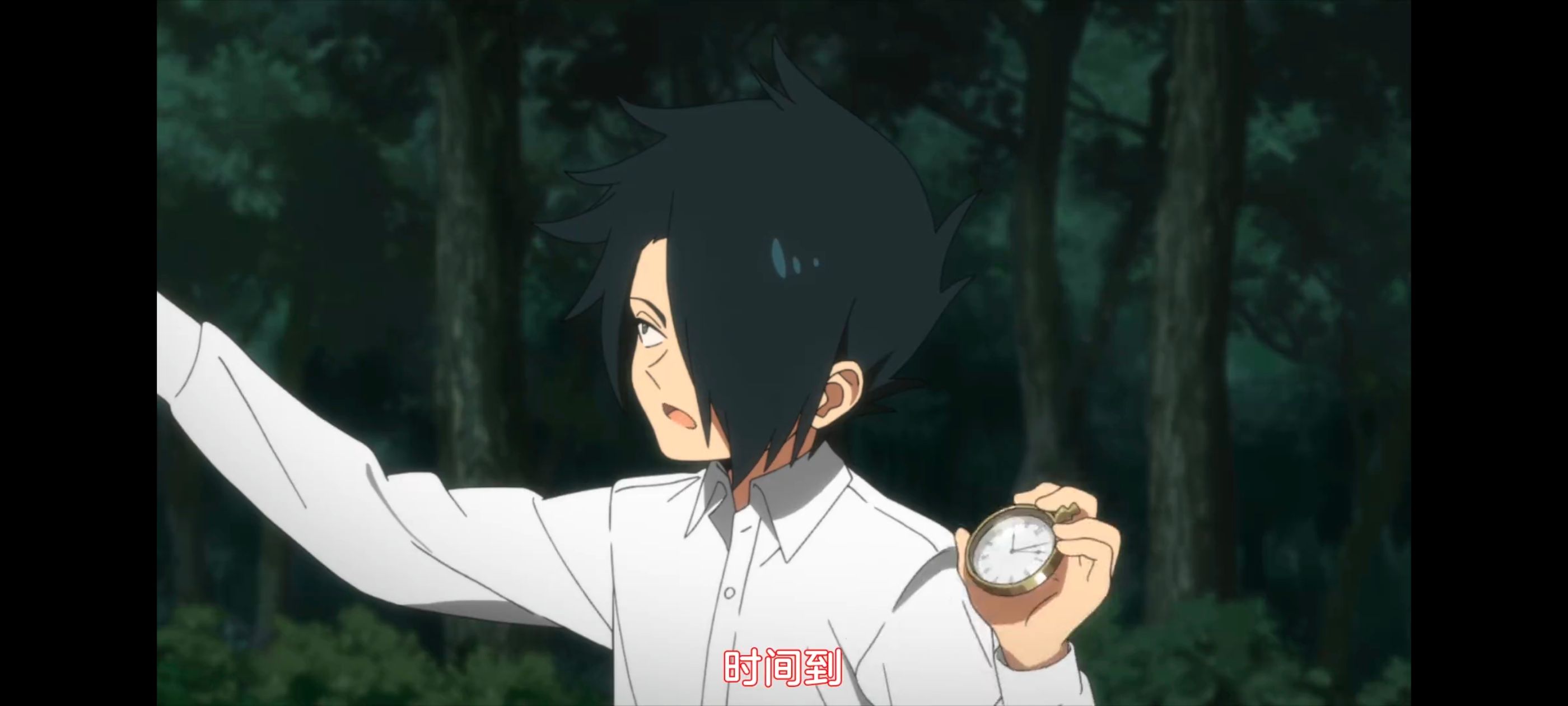 约定的梦幻岛,动画,动漫,番剧,ACG