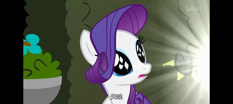 小马宝莉,小马宝莉友谊魔法,彩虹小马,我的小马驹,动画,动漫,番剧,ACG