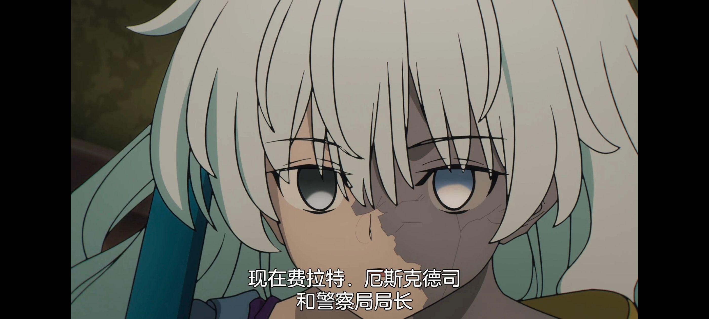 命运奇异赝品,FatestrangeFake,FATE,动画,动漫,番剧,二次元,ACG