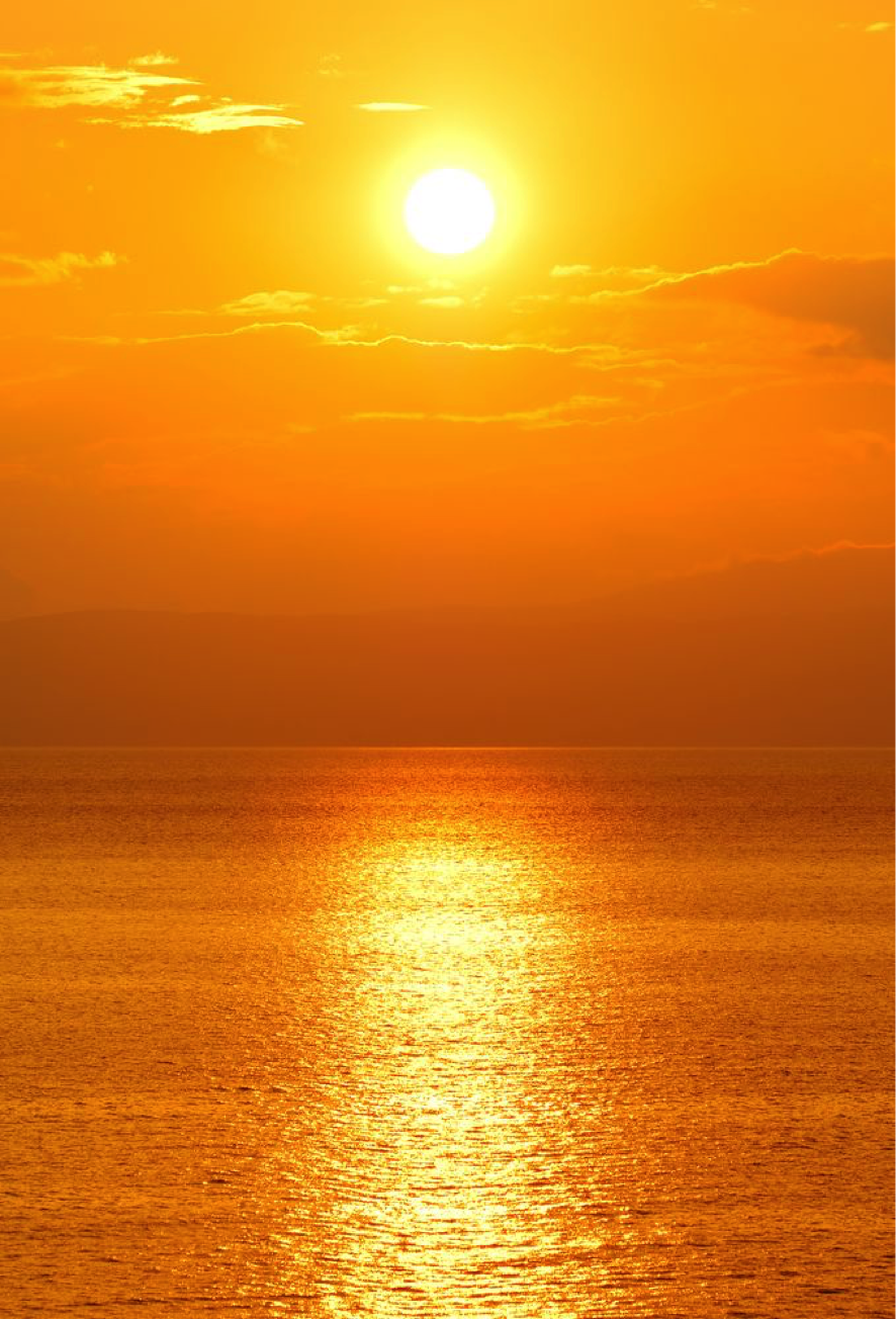 书评,组织部来了个年轻人,王蒙