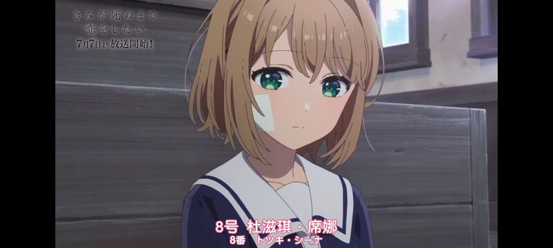 与你相恋到生命尽头,与你相恋到世界尽头,动画,动漫,番剧,百合,二次元,ACG