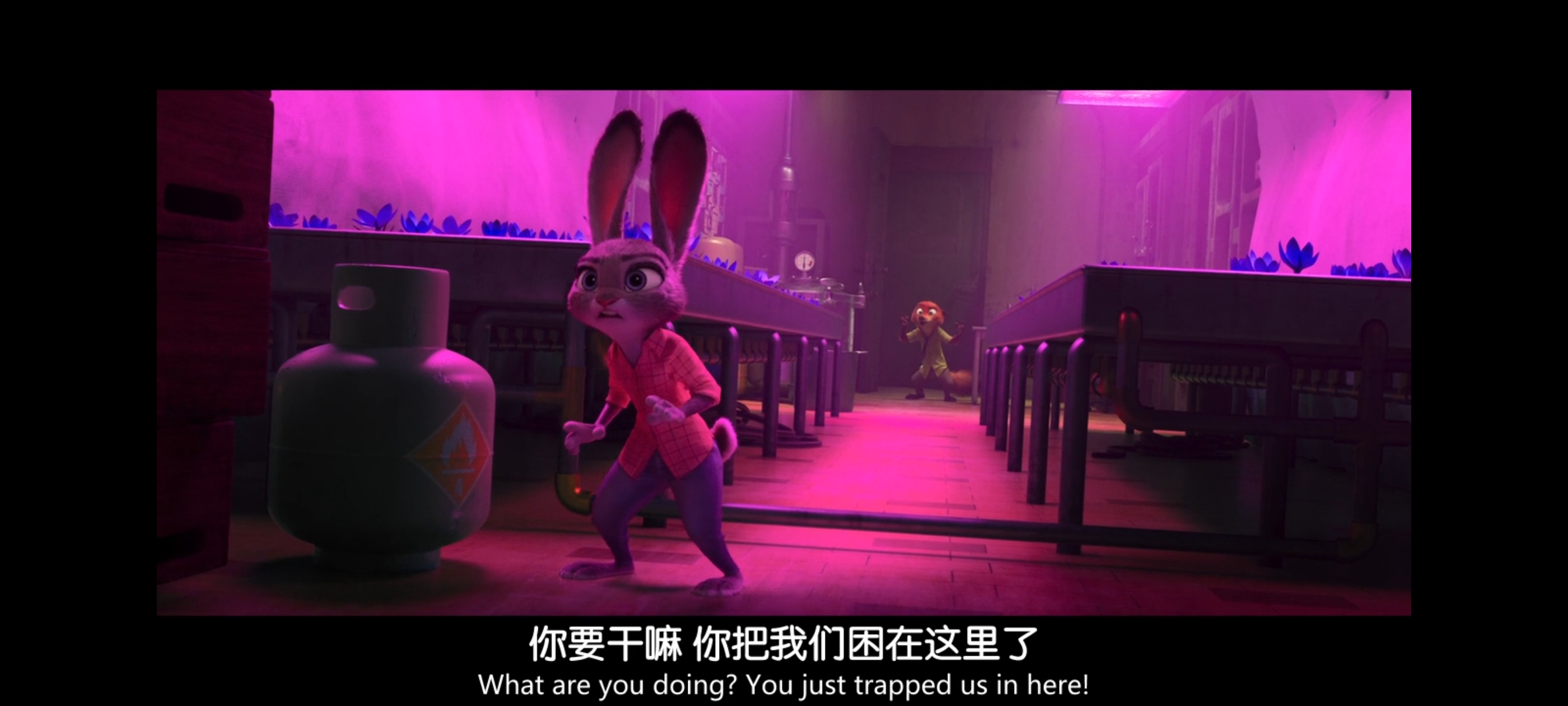 疯狂动物城,动画电影,动漫,动画,电影,二次元,ACG