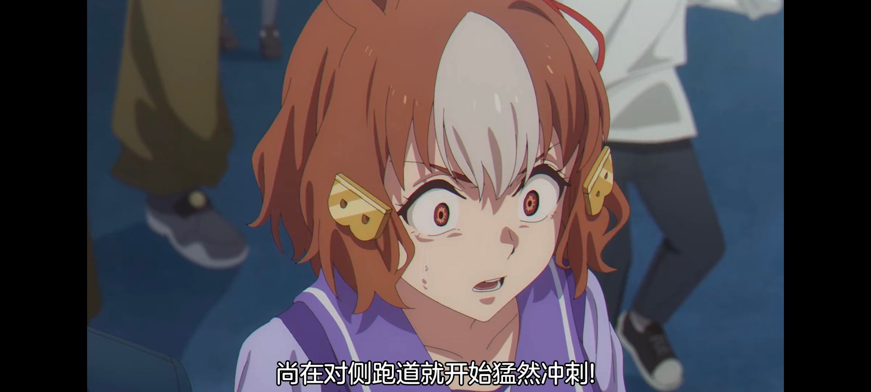 赛马娘,赛马娘PrettyDreby,赛马娘芦毛灰姑娘,芦毛灰姑娘,动画,动漫,番剧,ACG