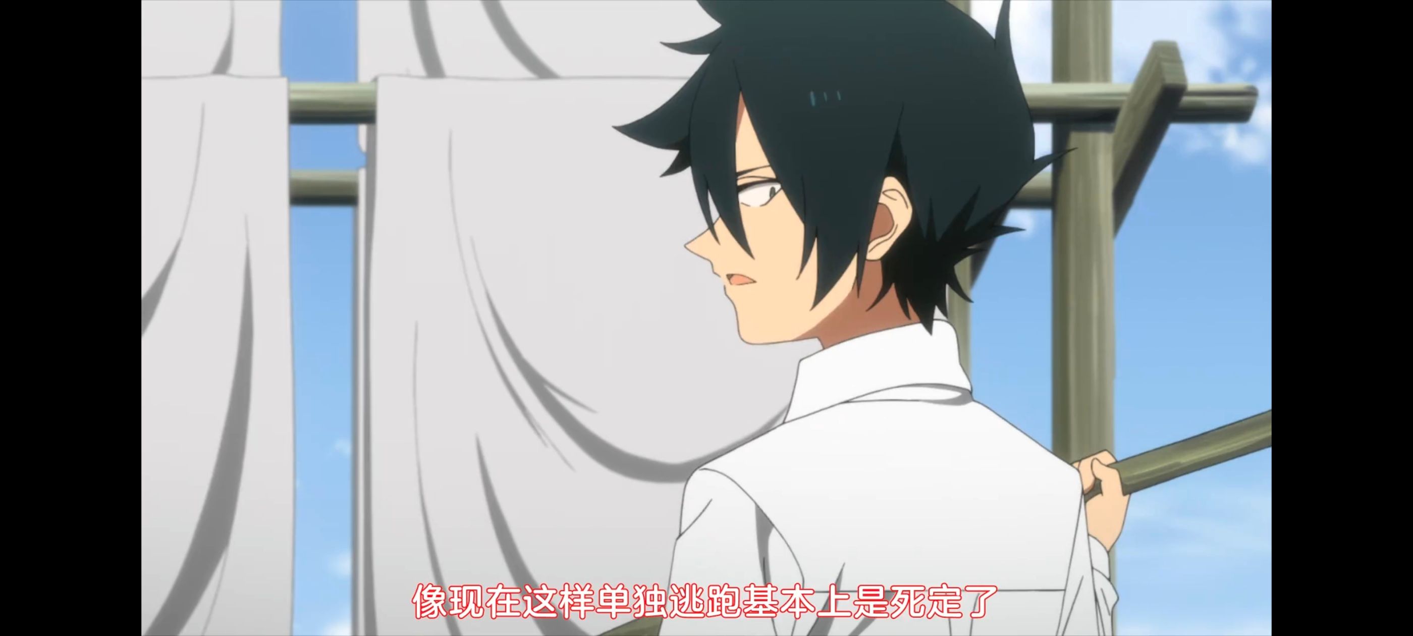 约定的梦幻岛,动画,动漫,番剧,ACG