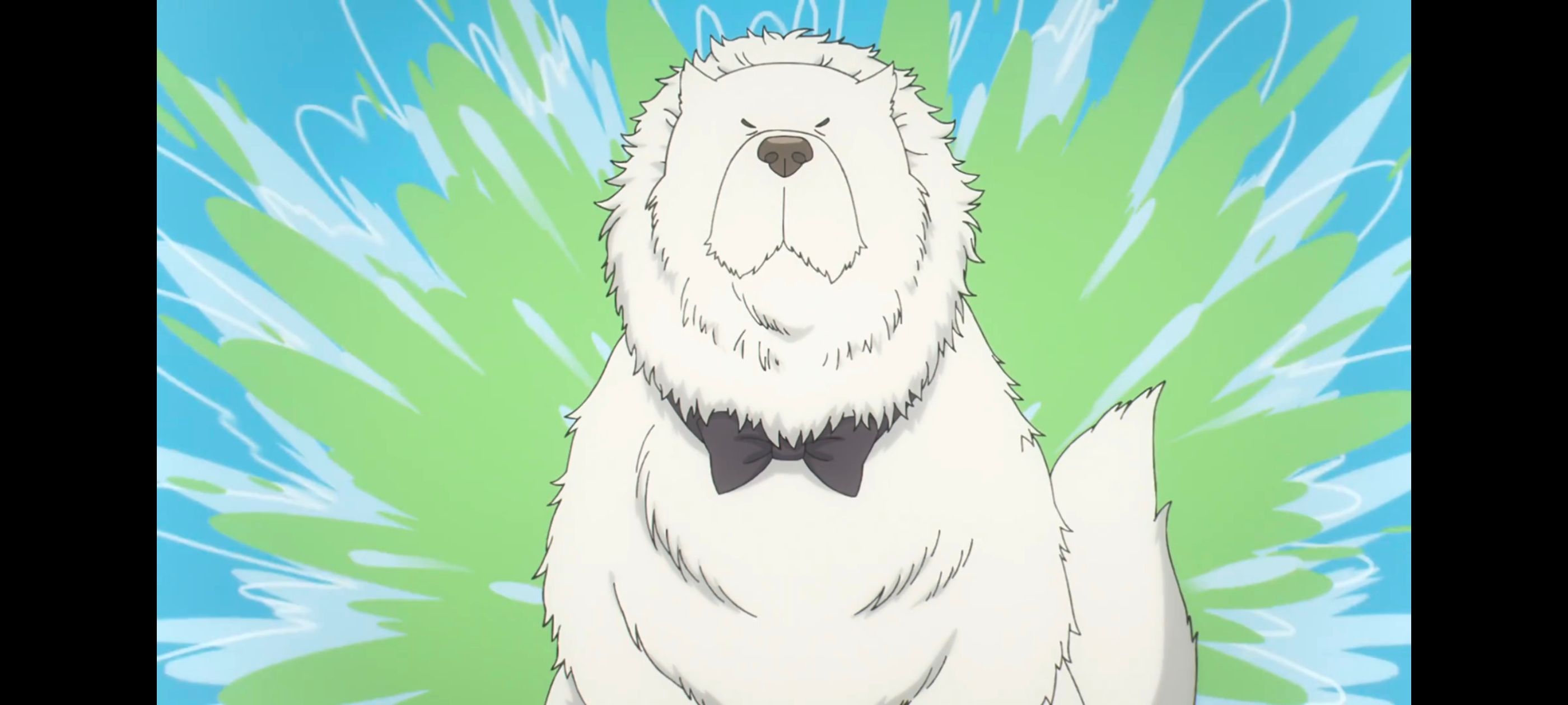 间谍过家家,SPYFAMILY,动画,动漫,番剧,ACG