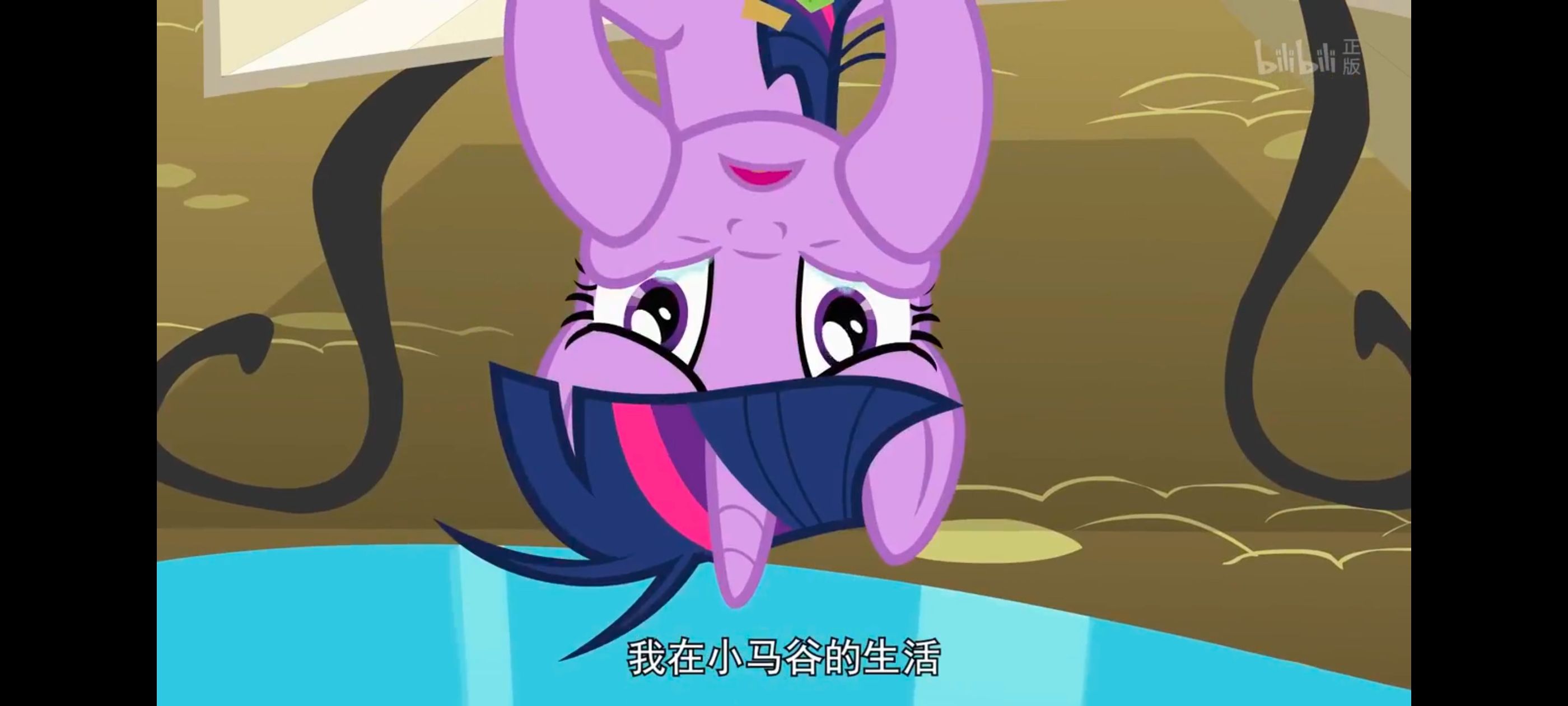 小马宝莉,小马宝莉友谊魔法,彩虹小马,我的小马驹,动画,动漫,番剧,ACG