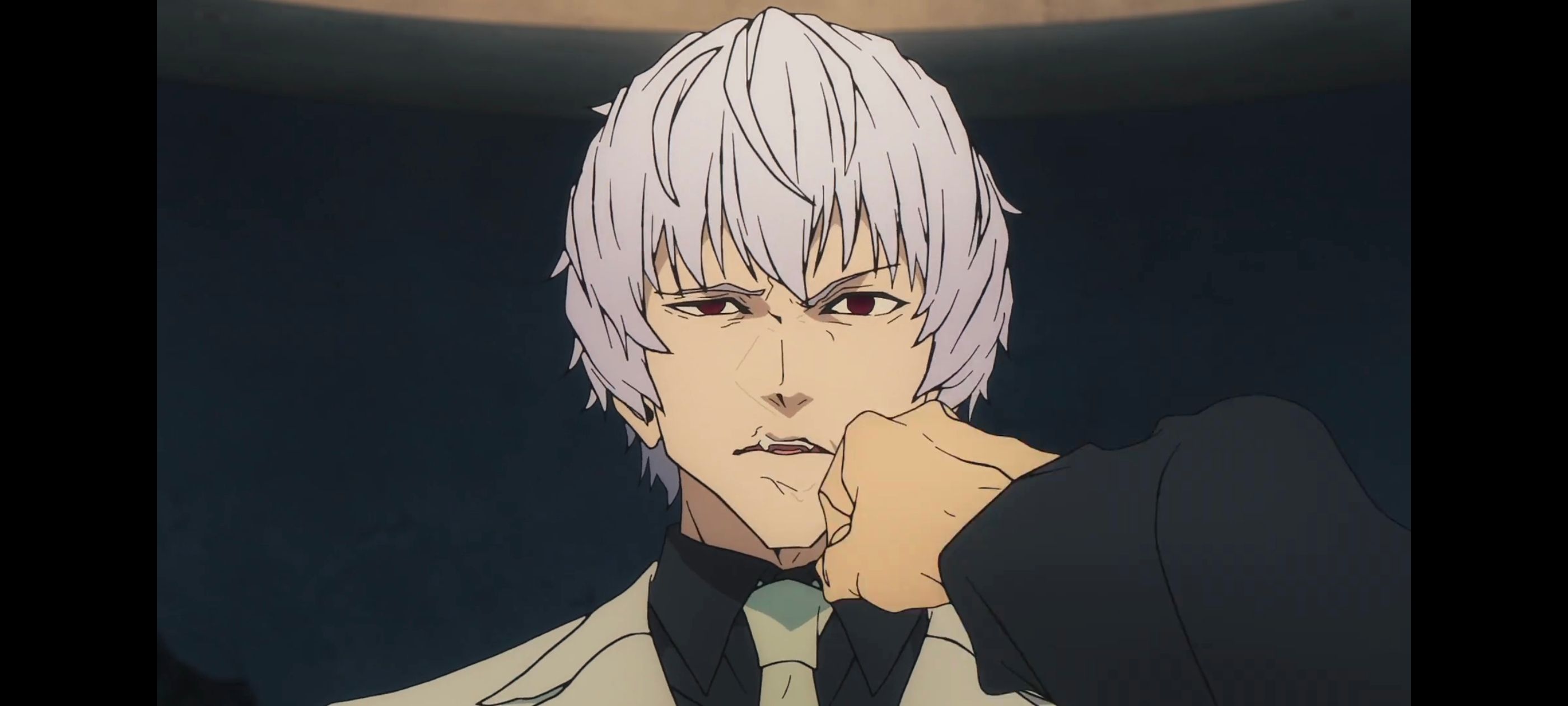 命运奇异赝品,FatestrangeFake,动画,动漫,番剧,ACG