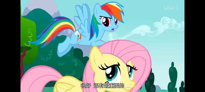 小马宝莉,小马宝莉友谊魔法,彩虹小马,我的小马驹,动画,动漫,番剧,ACG