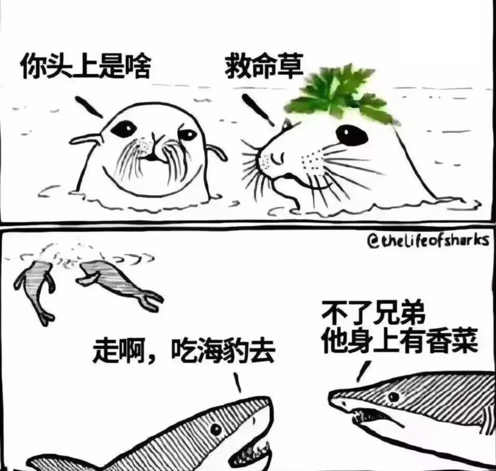 弔图,meme,涩图