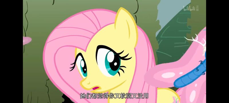 小马宝莉,小马宝莉友谊魔法,彩虹小马,我的小马驹,动画,动漫,番剧,ACG