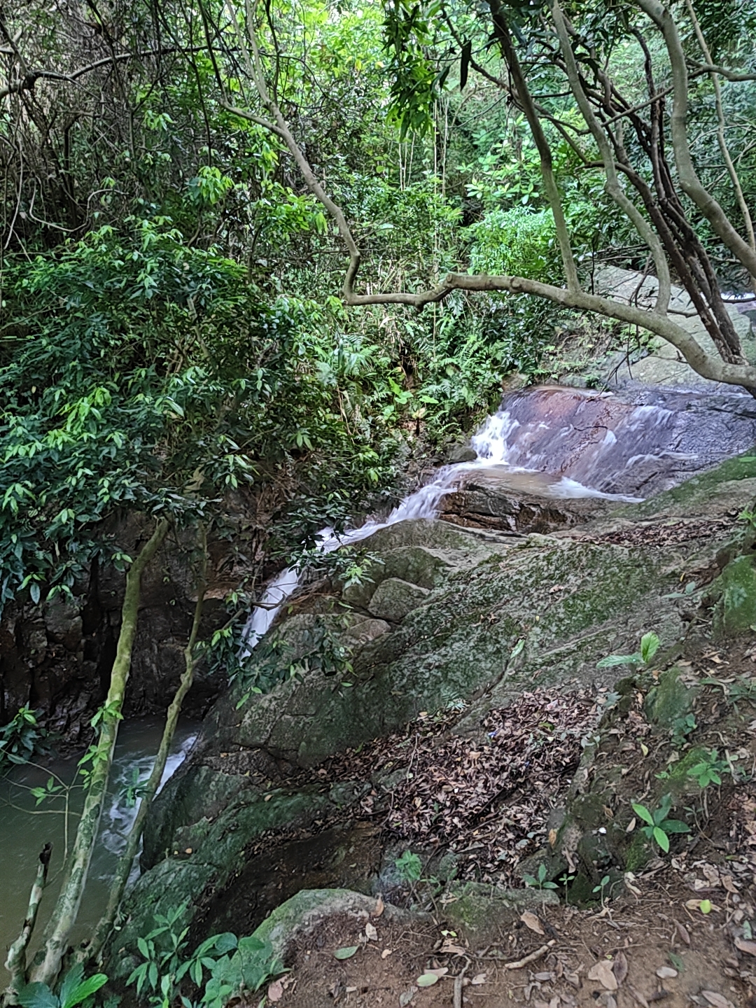登山,阳台山,羊台叠翠