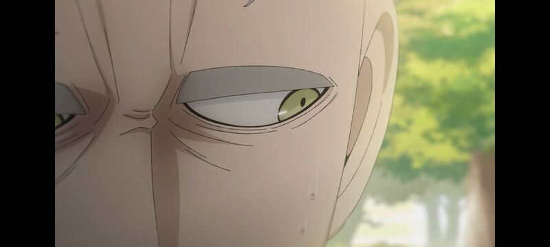 间谍过家家,SPYFAMILY,动画,动漫,番剧,ACG