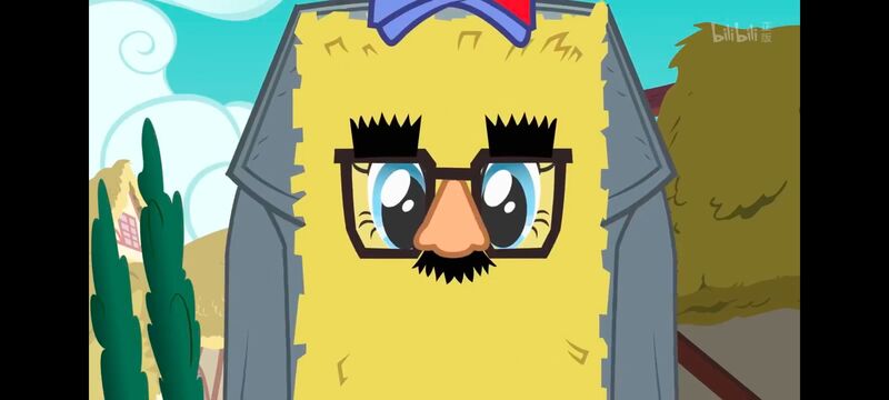 小马宝莉,小马宝莉友谊魔法,彩虹小马,我的小马驹,动画,动漫,番剧,ACG