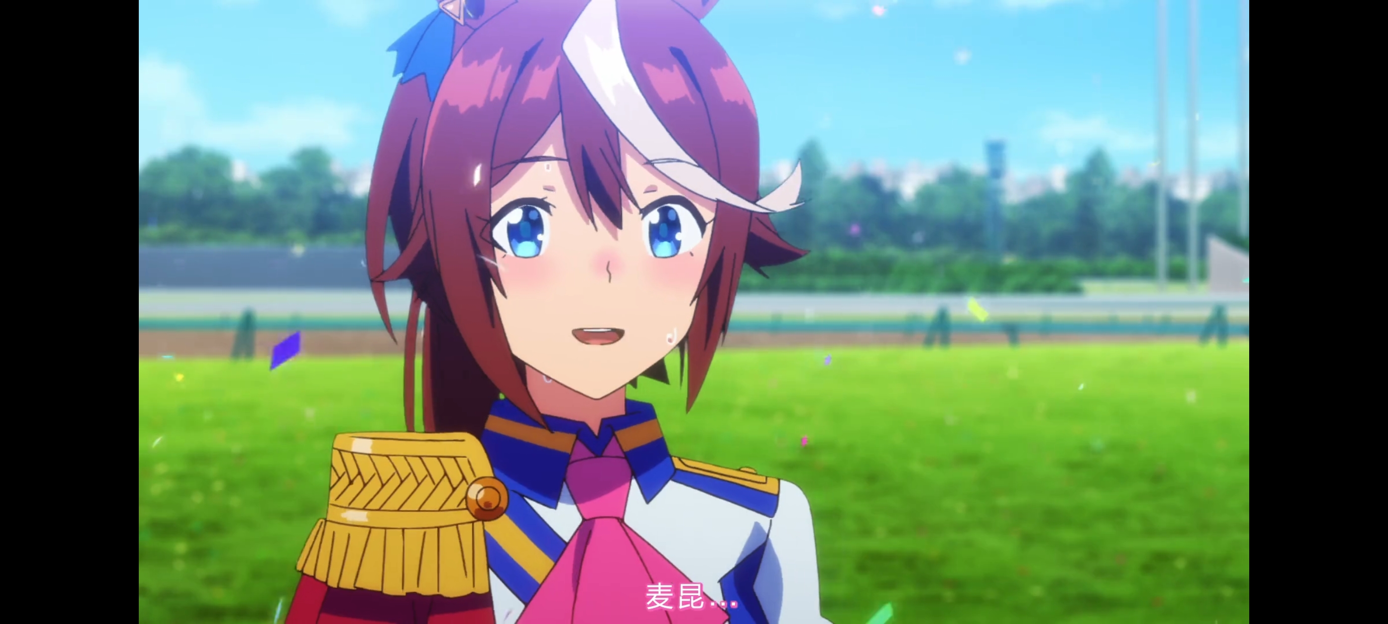 赛马娘,赛马娘第二季,动画,动漫,番剧,赛马娘PrettyDerby,二次元,ACG