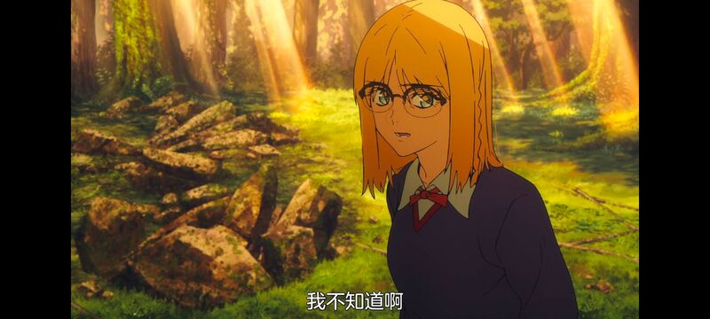 命运奇异赝品,FatestrangeFake,动画,动漫,番剧,ACG