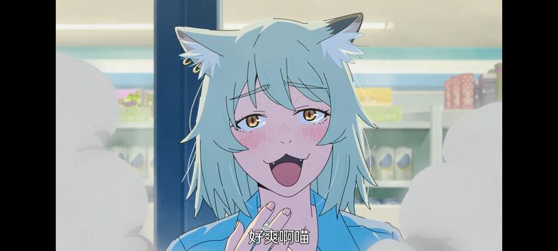 雅尼猫,尼古喵喵,动画,动漫,番剧,二次元,日漫,ACG