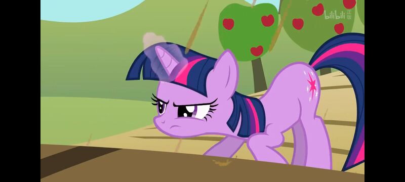 小马宝莉,小马宝莉友谊魔法,彩虹小马,我的小马驹,动画,动漫,番剧,ACG