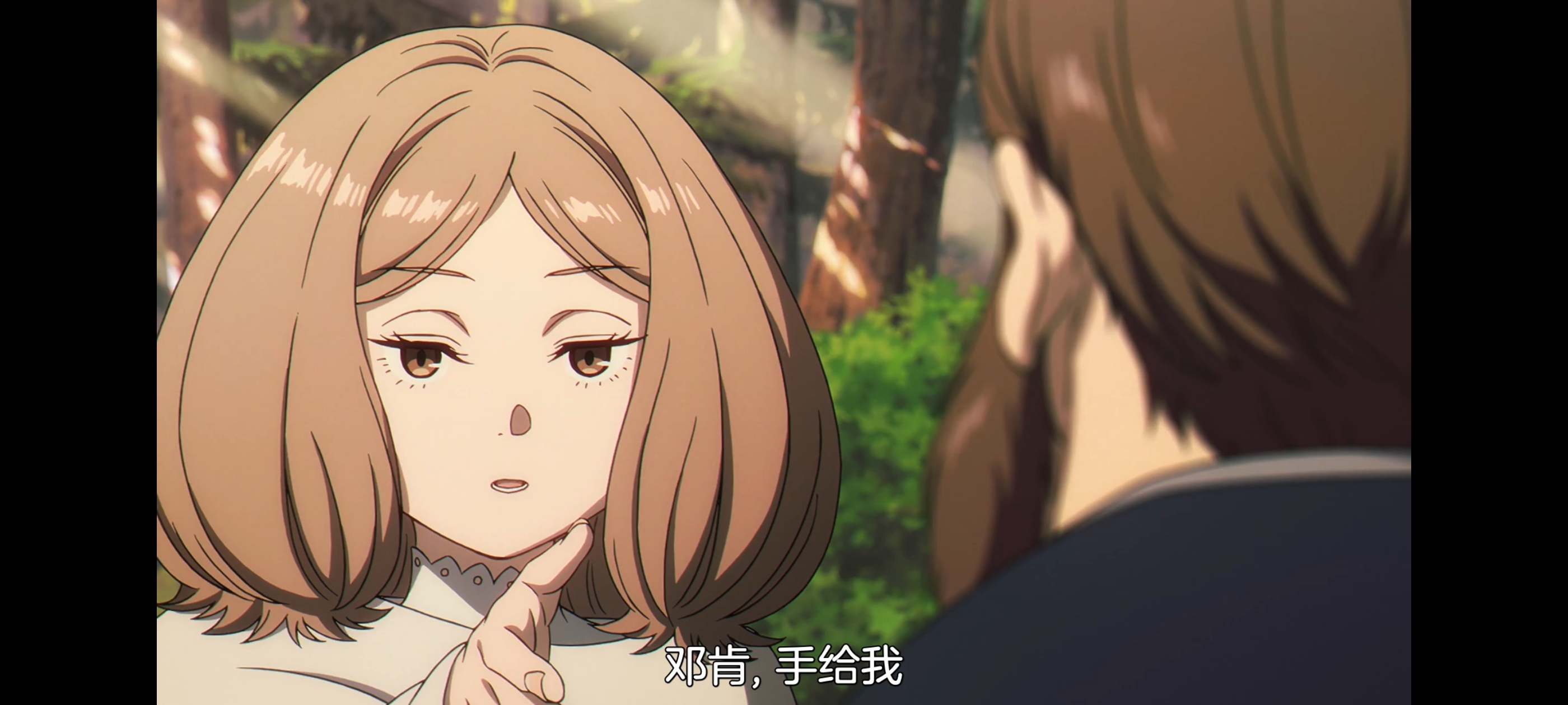 葬送的芙莉莲,动画,动漫,番剧,二次元,ACG