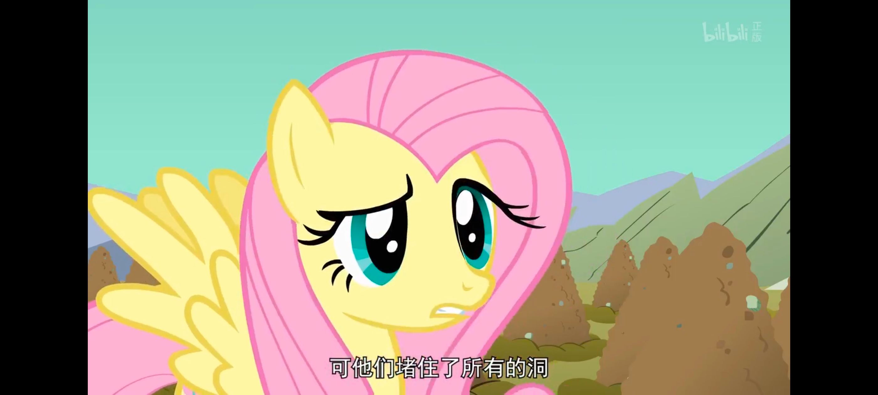 彩虹小马,小马宝莉,我的小马驹,小马宝莉友谊魔法,动画,动漫,番剧,ACG