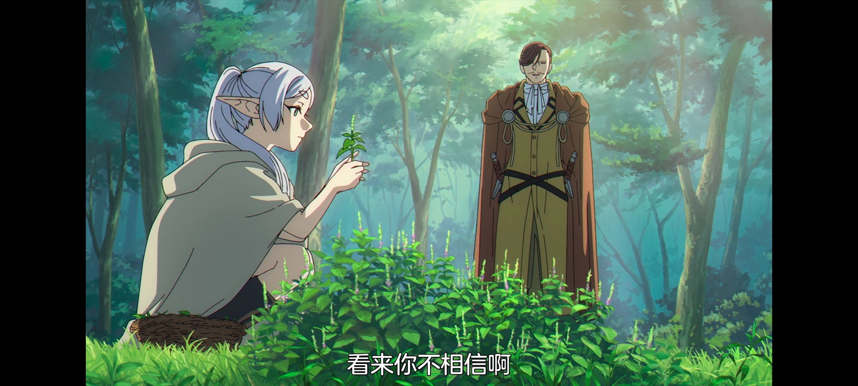 葬送的芙莉莲,动画,动漫,番剧,ACG