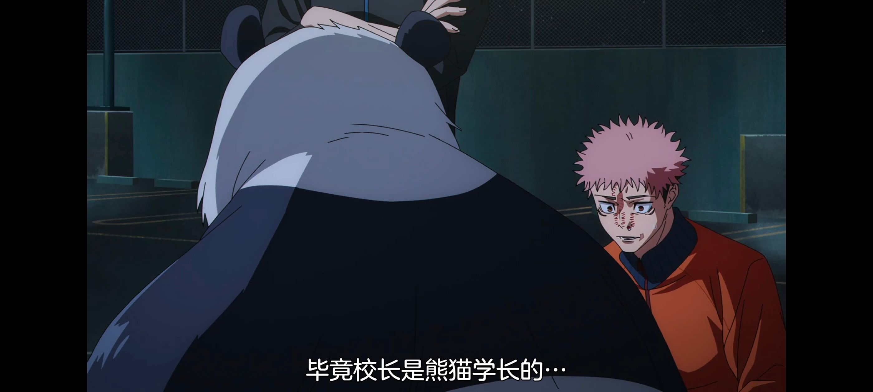 咒术回战,咒术回战死灭回游,动画,动漫,番剧,ACG