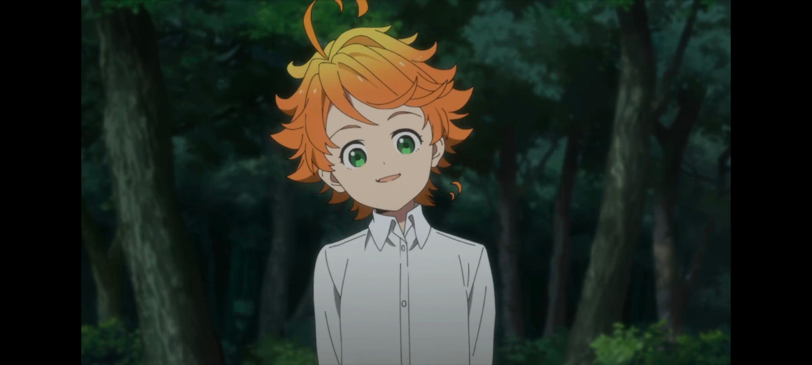 约定的梦幻岛,动画,动漫,番剧,ACG