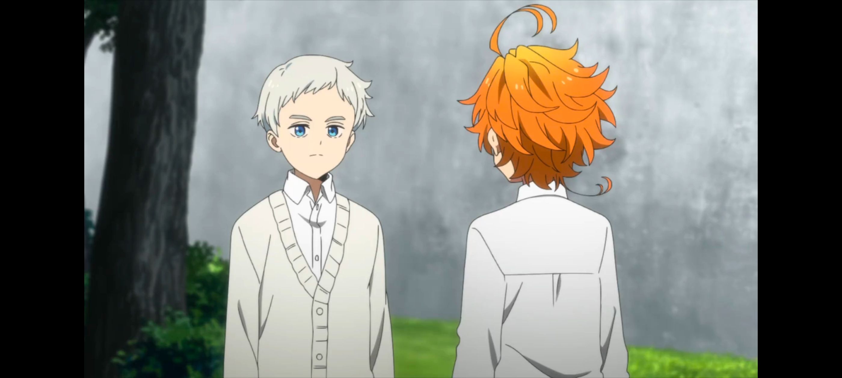 约定的梦幻岛,动画,动漫,番剧,二次元,ACG