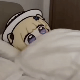 动图,GIF,meme