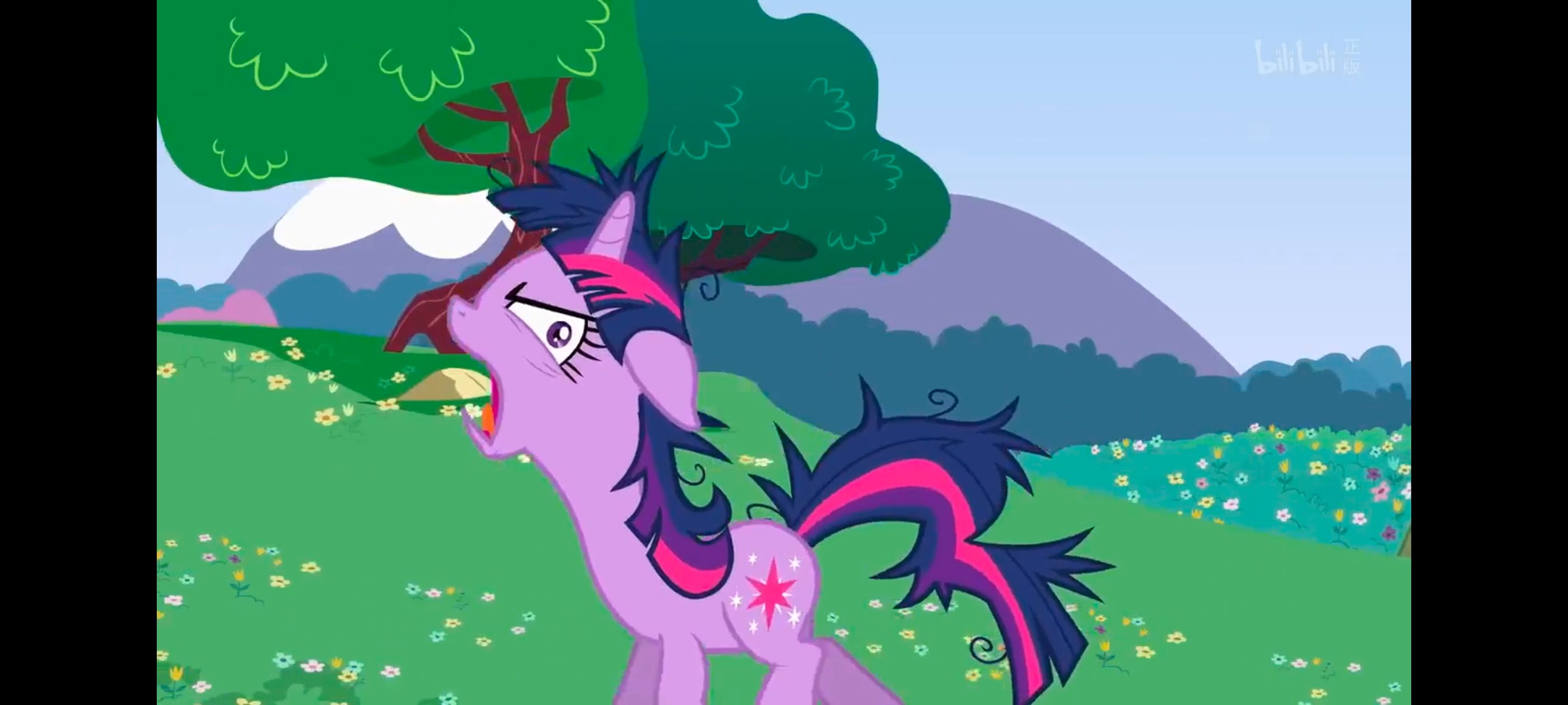 小马宝莉,小马宝莉友谊魔法,彩虹小马,我的小马驹,动画,动漫,番剧,ACG