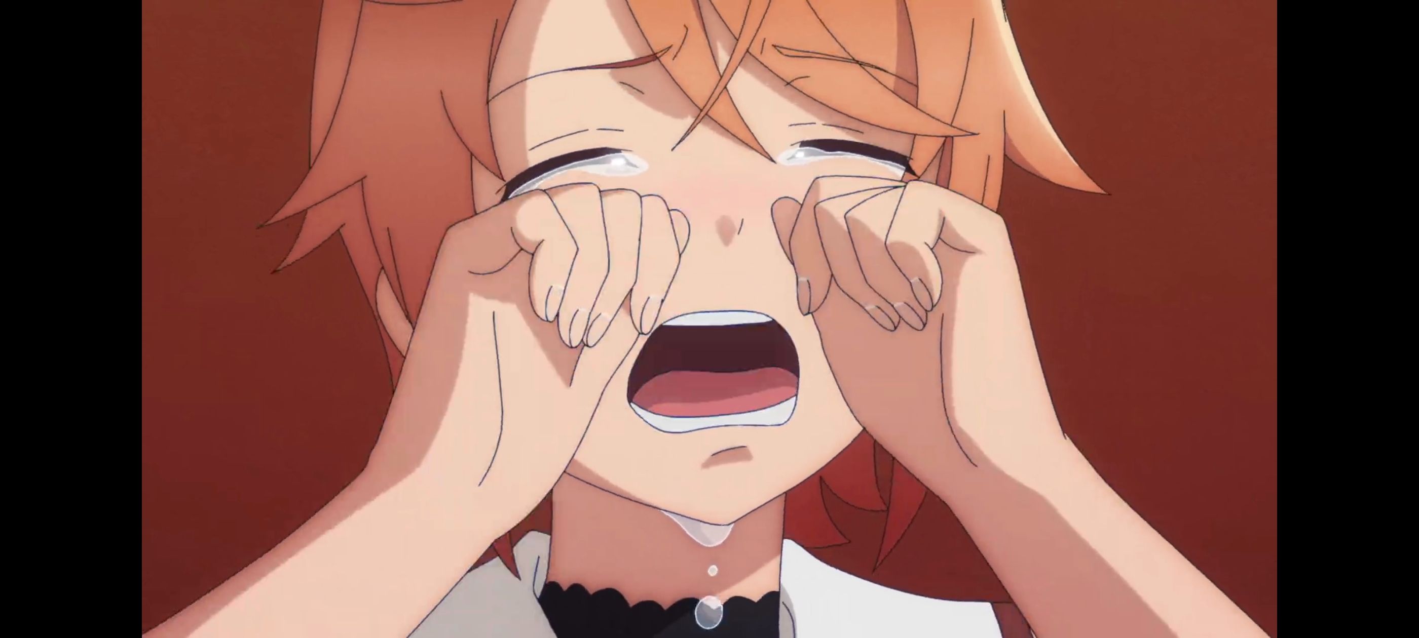 凭你也想讨伐魔王,动画,动漫,番剧,ACG