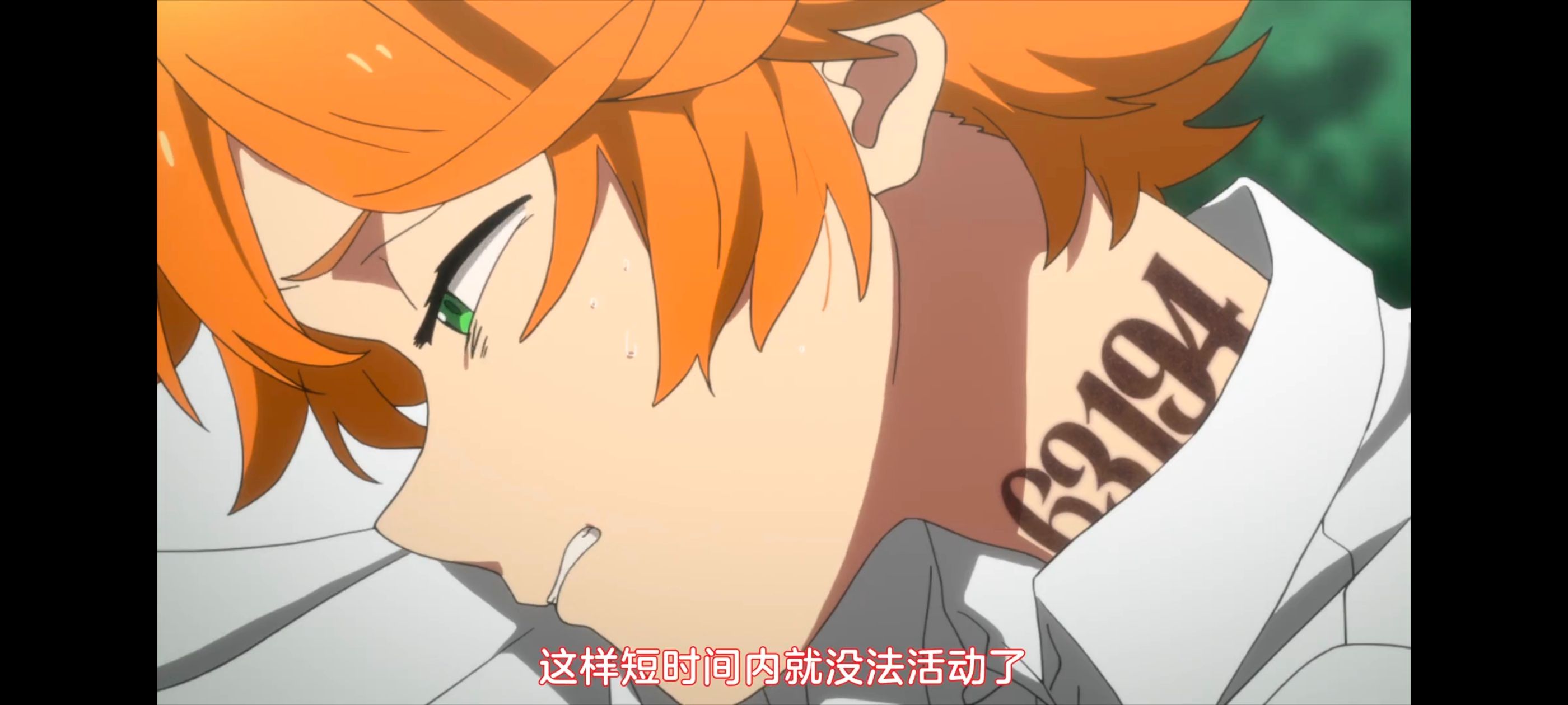 约定的梦幻岛,动画,动漫,番剧,二次元,ACG