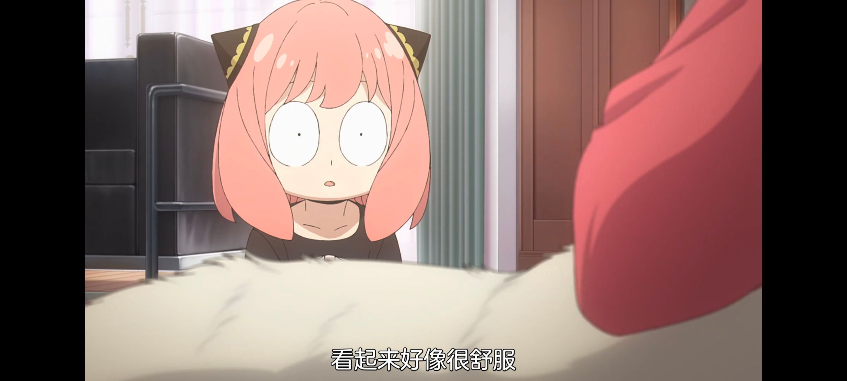 间谍过家家,SPYFAMILY,动画,动漫,番剧,ACG