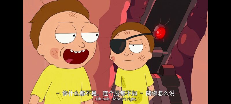 瑞克和莫蒂,瑞克与莫蒂,美漫,动漫,动画,番剧,二次元,ACG