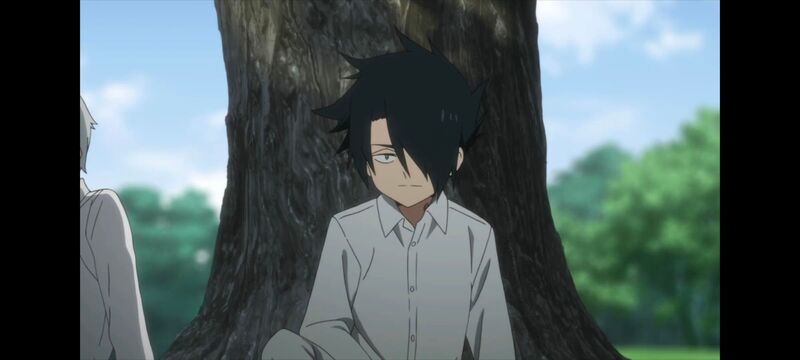 约定的梦幻岛,动画,动漫,番剧,ACG