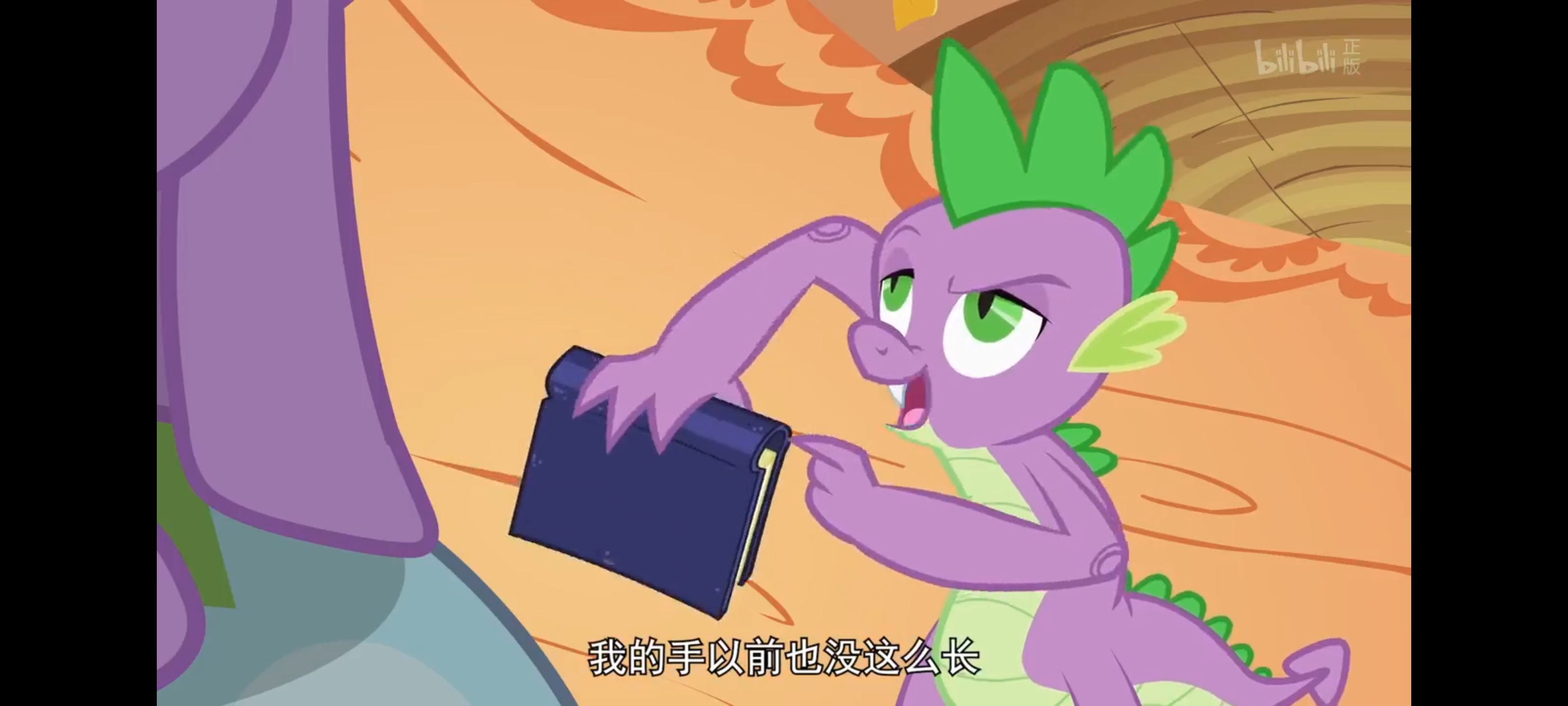 小马宝莉,彩虹小马,我的小马驹,动画,动漫,番剧,二次元,ACG