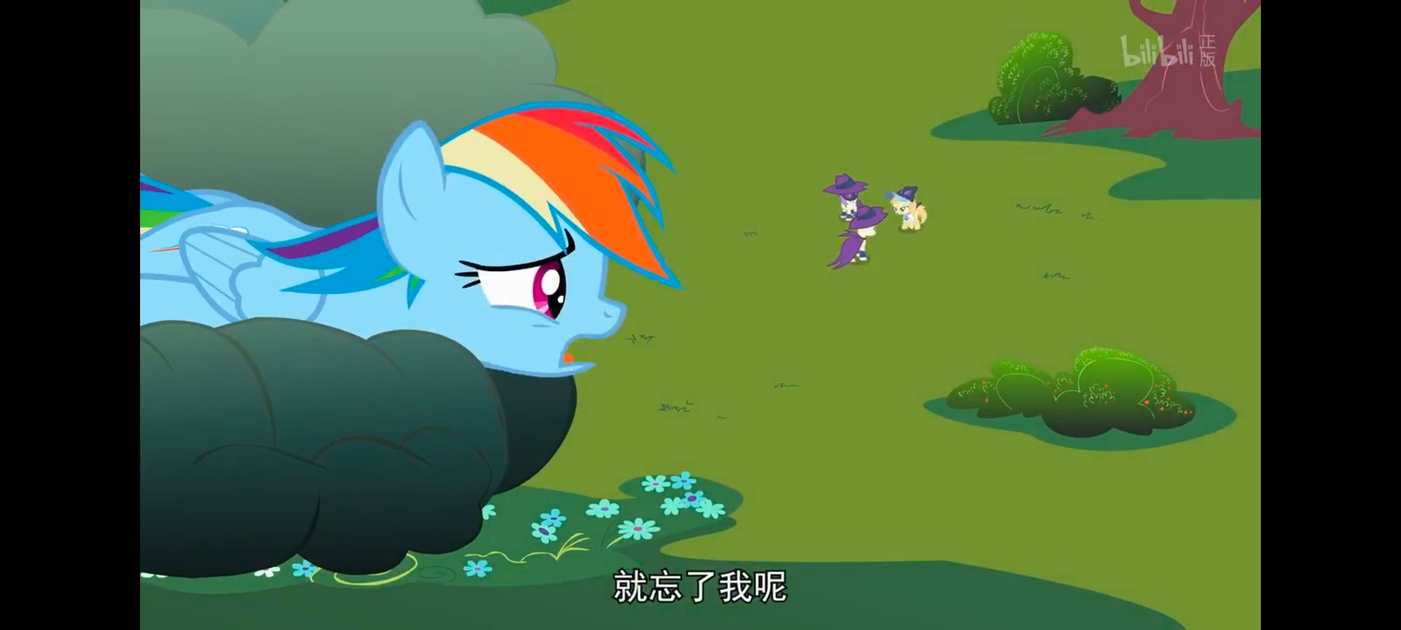 小马宝莉,彩虹小马,我的小马驹,动画,动漫,番剧,ACG