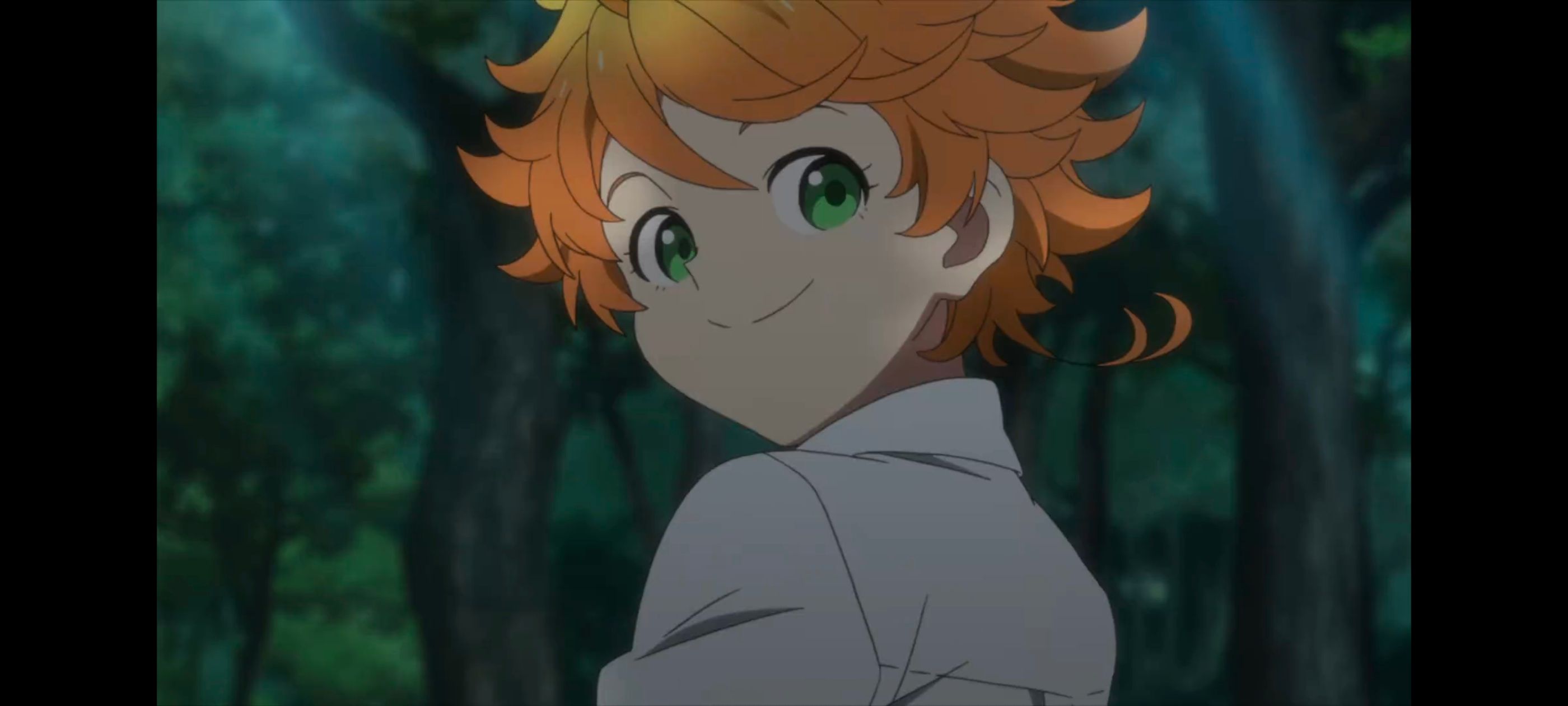 约定的梦幻岛,动画,动漫,番剧,ACG