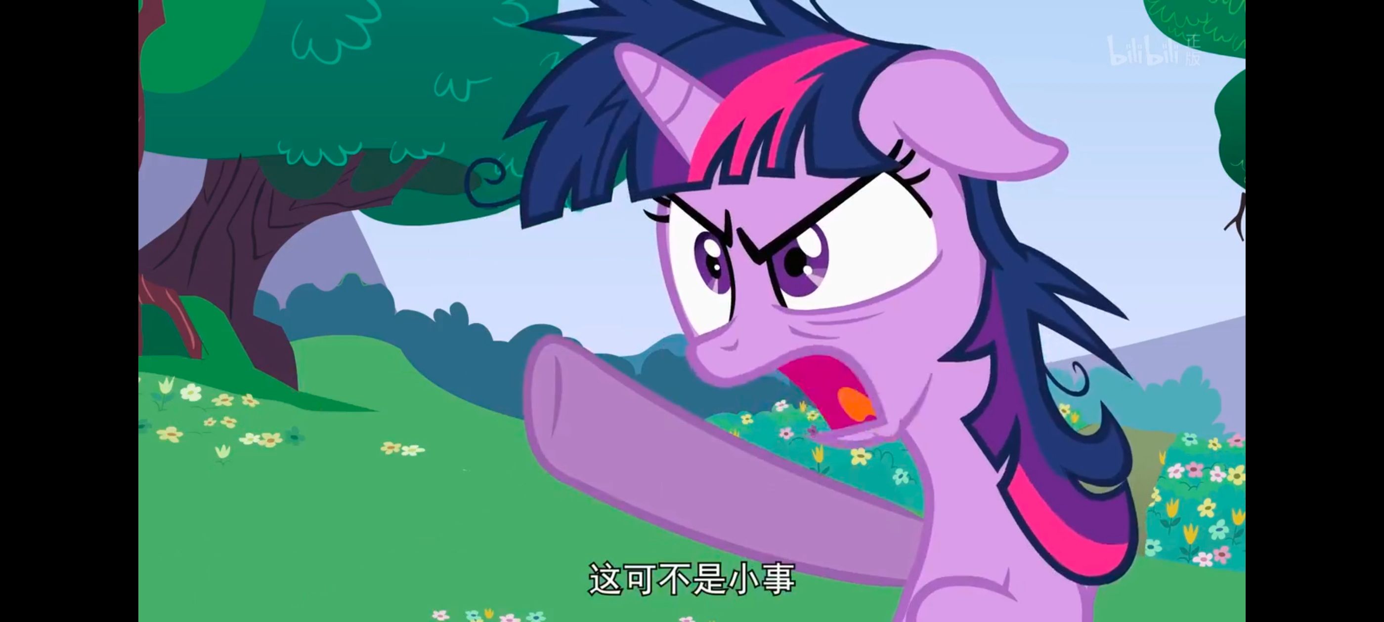 小马宝莉,小马宝莉友谊魔法,彩虹小马,我的小马驹,动画,动漫,番剧,ACG