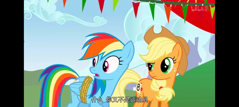小马宝莉,小马宝莉友谊魔法,彩虹小马,我的小马驹,动画,动漫,番剧,ACG