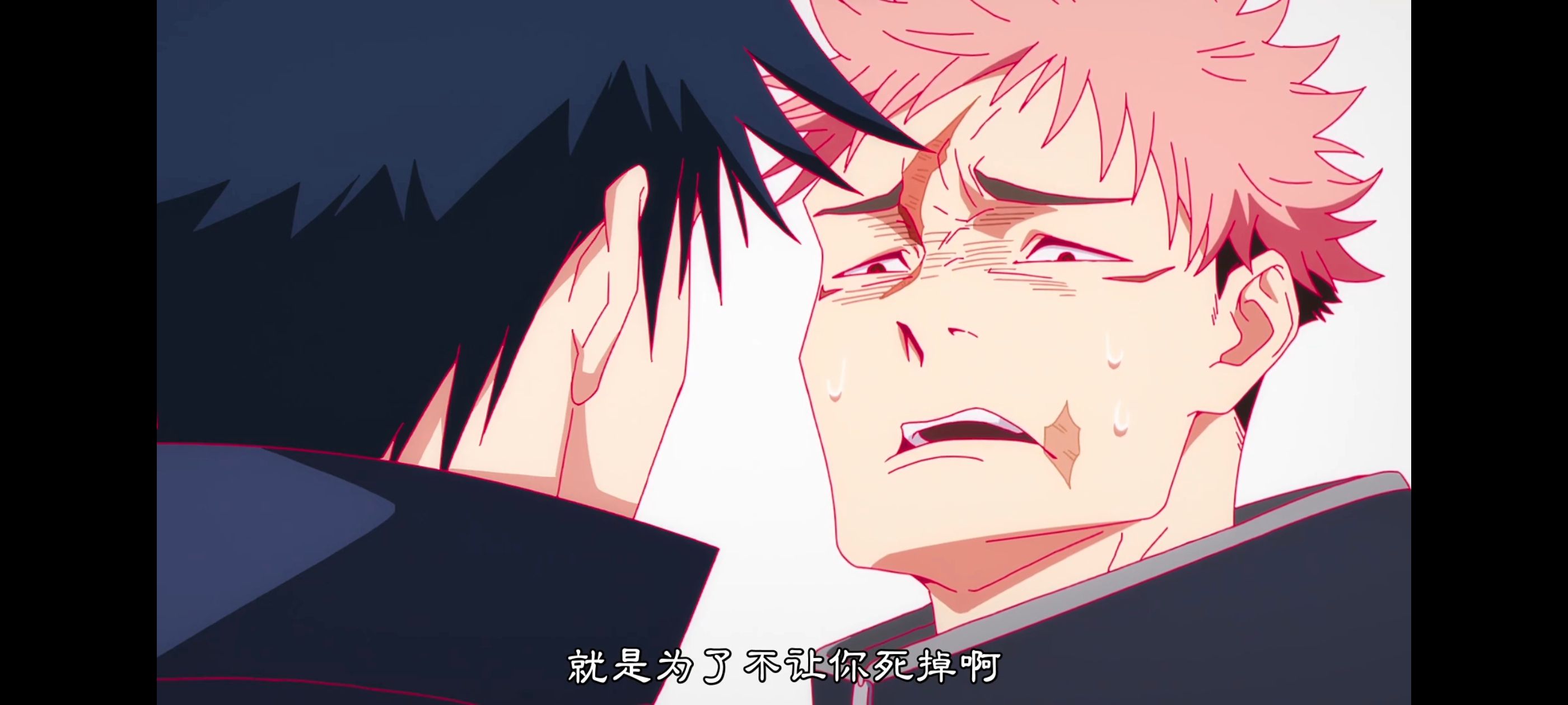 咒术回战,咒术回战死灭回游,番剧,动画,动漫,ACG