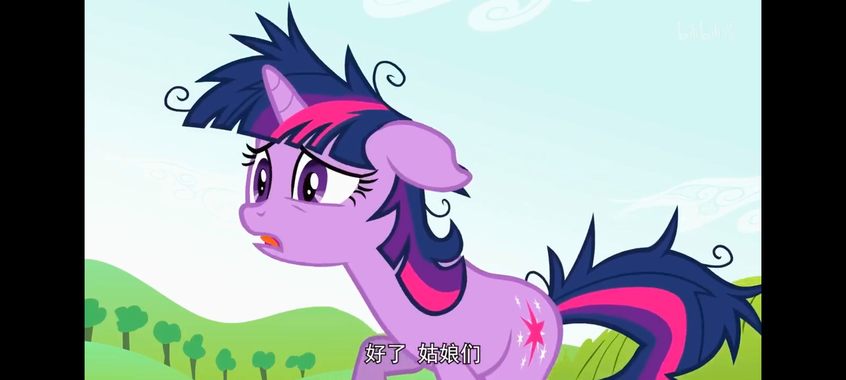 小马宝莉,小马宝莉友谊魔法,彩虹小马,我的小马驹,动画,动漫,番剧,ACG