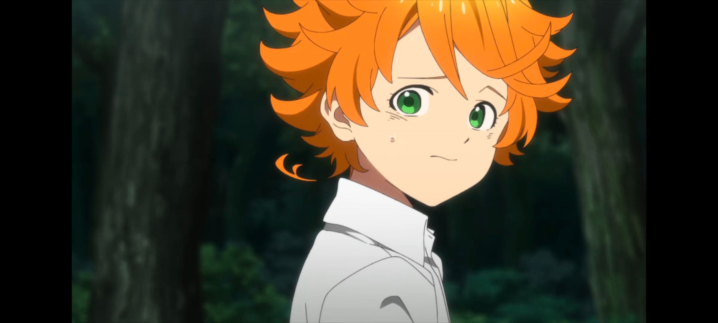 约定的梦幻岛,动画,动漫,番剧,二次元,ACG