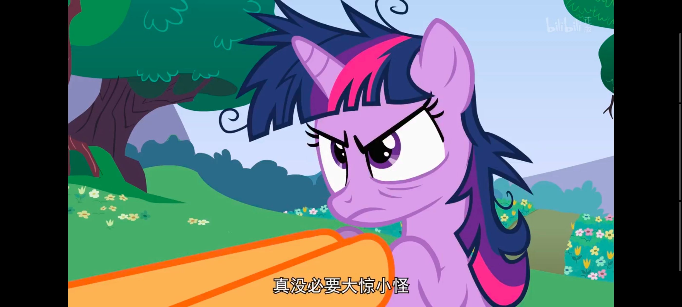 小马宝莉,小马宝莉友谊魔法,彩虹小马,我的小马驹,动画,动漫,番剧,ACG