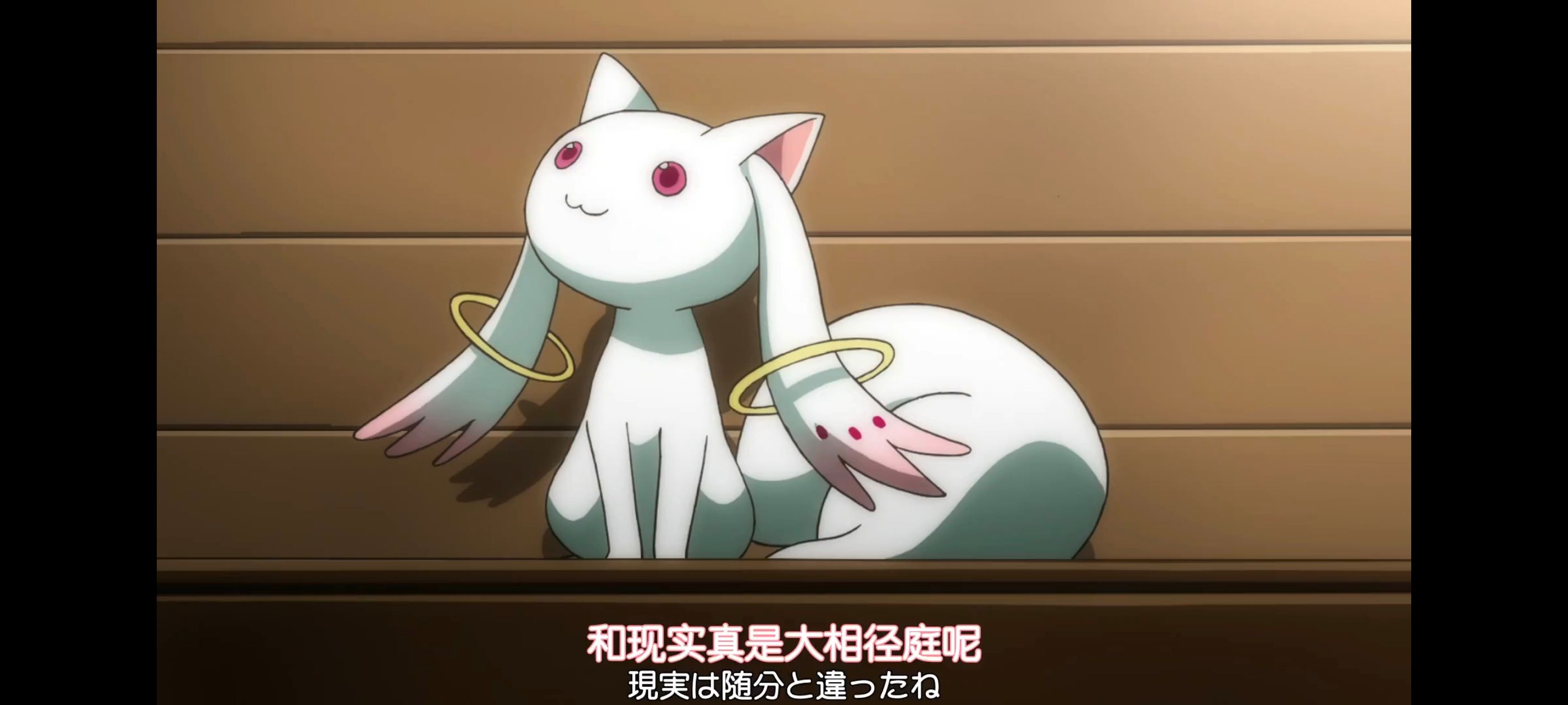 魔法少女小圆,魔法少女,动画,动漫,番剧,二次元,ACG