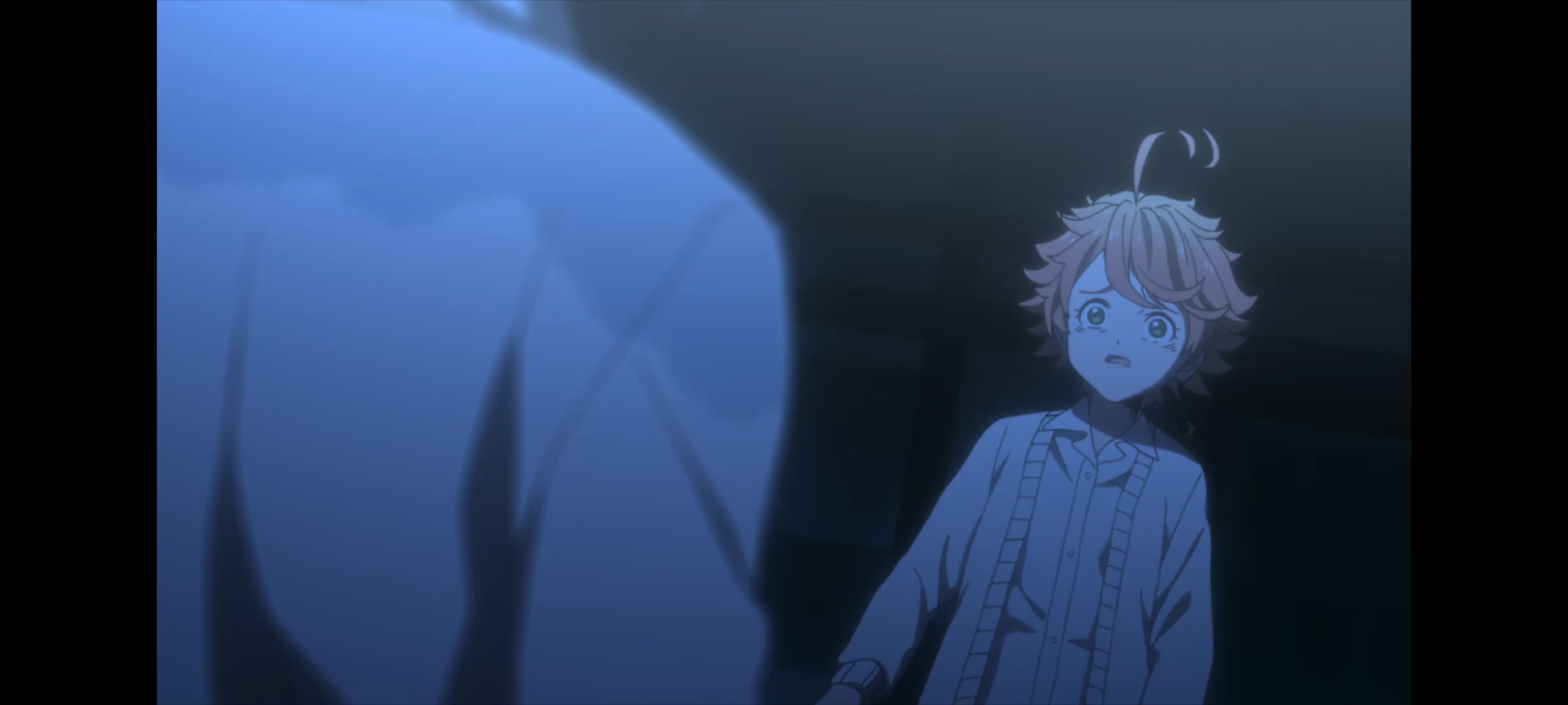 约定的梦幻岛,动画,动漫,番剧,二次元,ACG