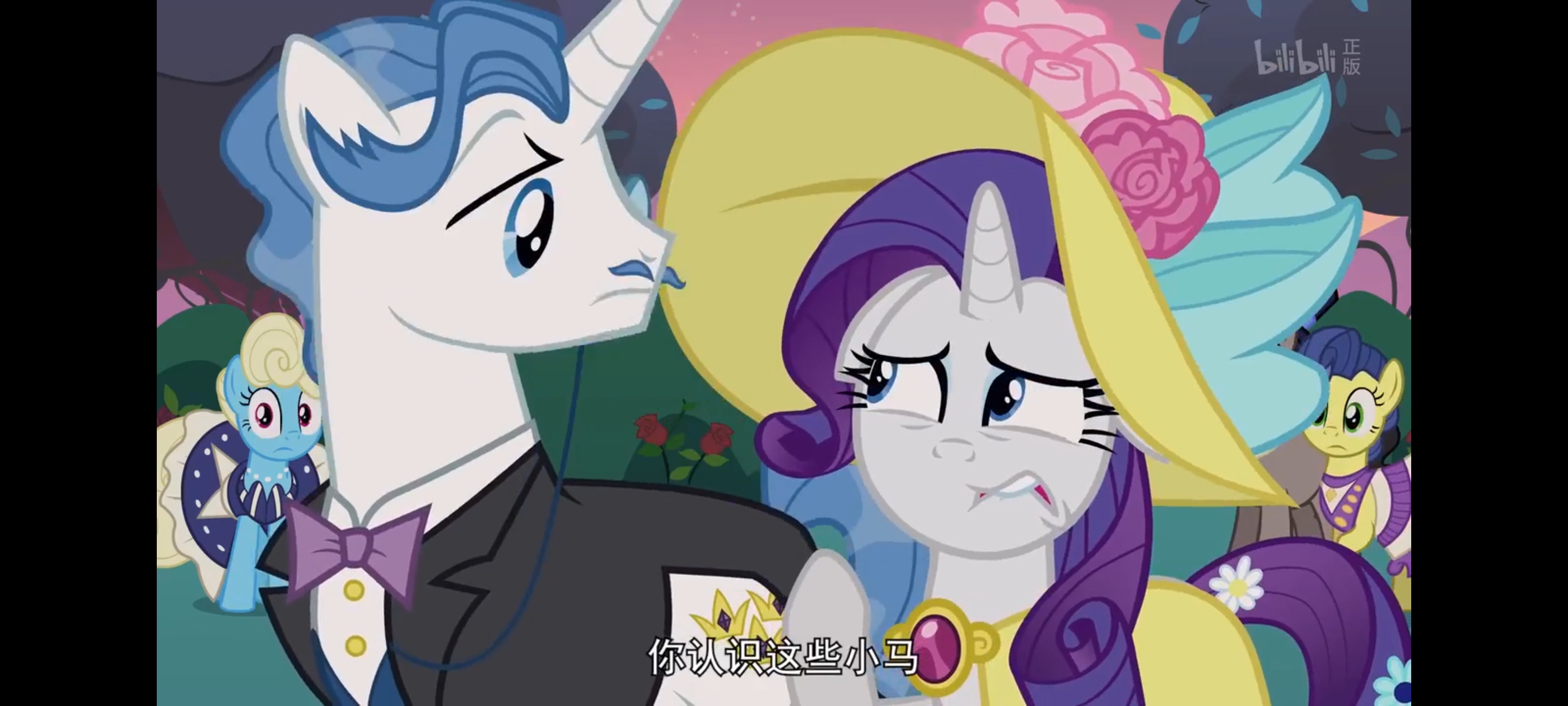 小马宝莉,彩虹小马,我的小马驹,动画,动漫,番剧,ACG