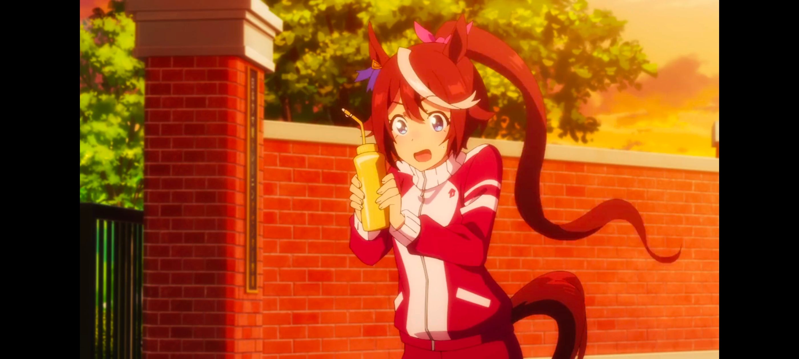 赛马娘,赛马娘PrettyDreby,赛马娘第二季,动画,动漫,番剧,ACG