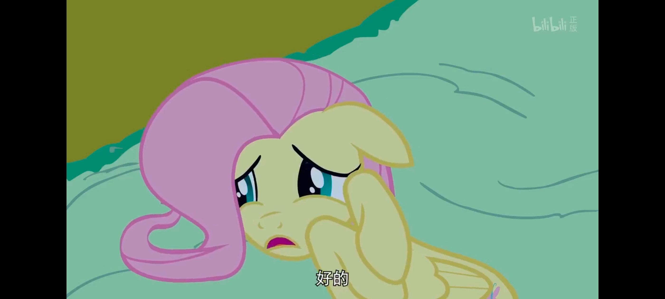 小马宝莉,小马宝莉友谊魔法,彩虹小马,我的小马驹,动漫,动画,番剧,ACG