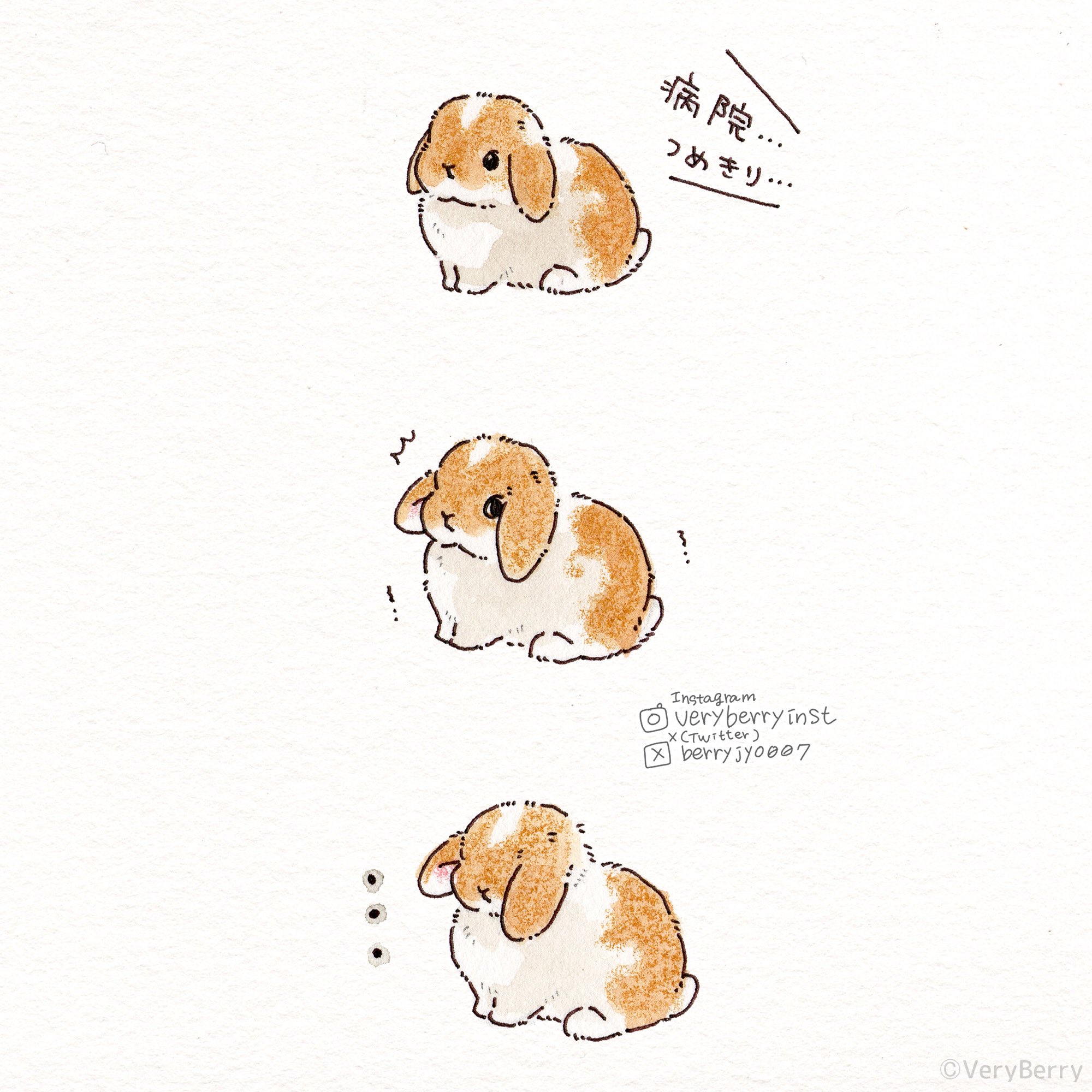 pixiv,萌宠,兔子,漫画